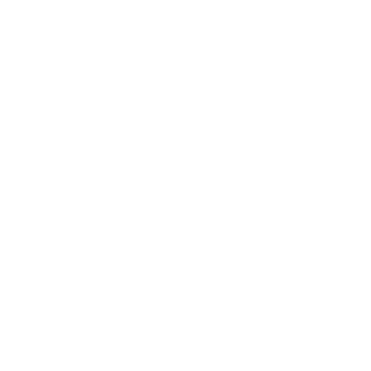 Pahhni Water Logo